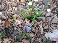 2dca0e18-IMG_4520 2.jpg